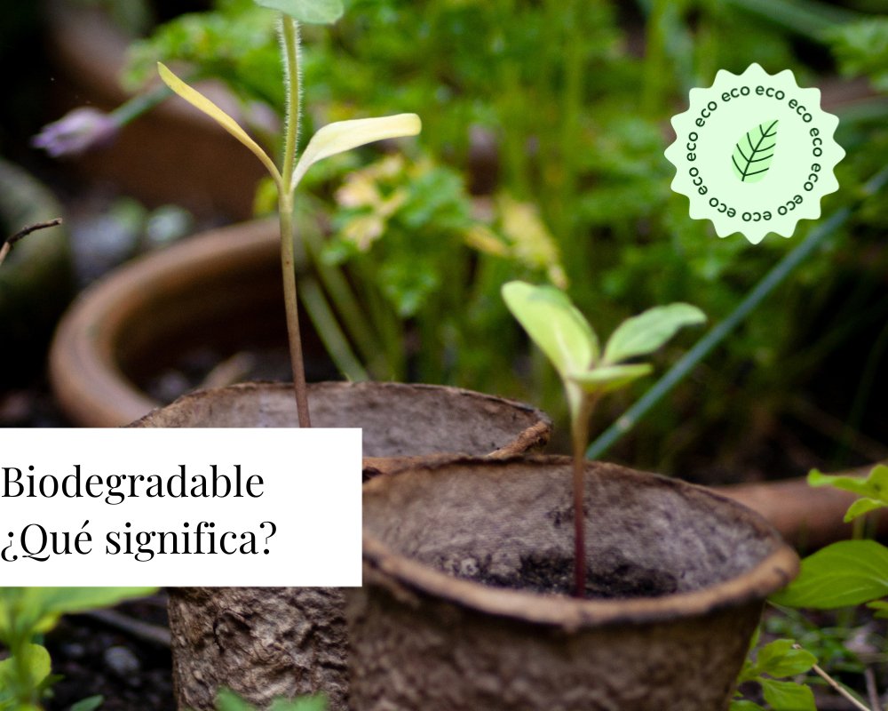Biodegradable ¿Qué significa? - TEIA Cosméticos
