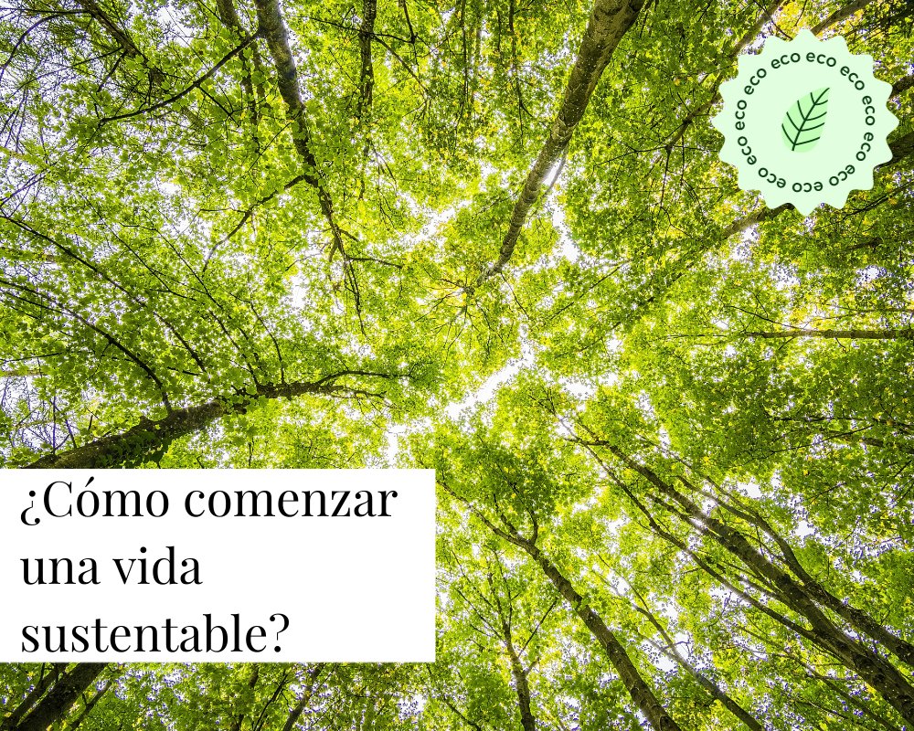 ¿Cómo comenzar una vida sustentable? - TEIA Cosméticos