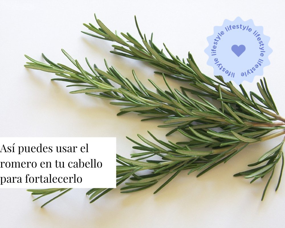 Así puedes usar el romero en tu cabello para fortalecerlo y hacerlo crecer - TEIA Cosméticos