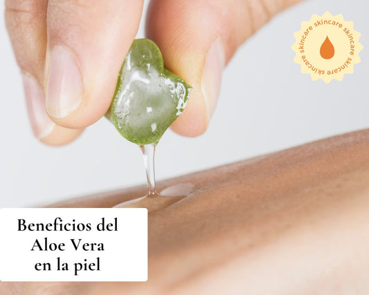 BENEFICIOS DEL ALOE VERA - TEIA