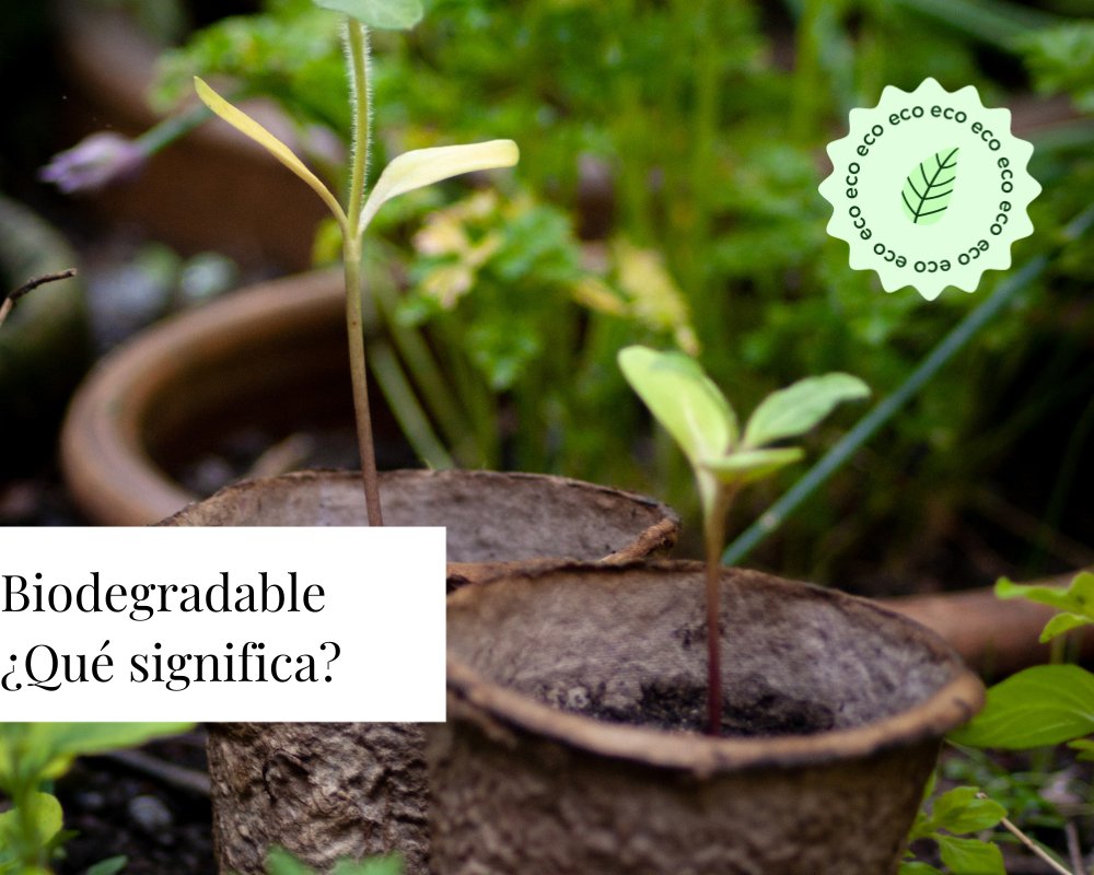 Biodegradable ¿Qué significa? - TEIA