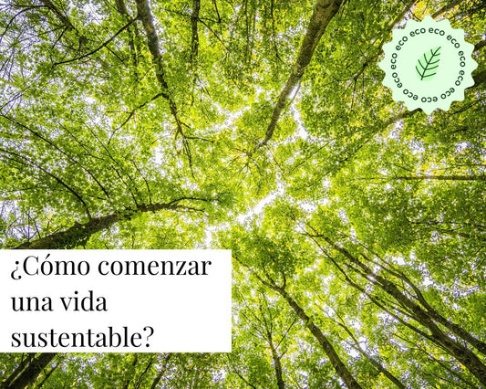 ¿Cómo comenzar una vida sustentable? - TEIA