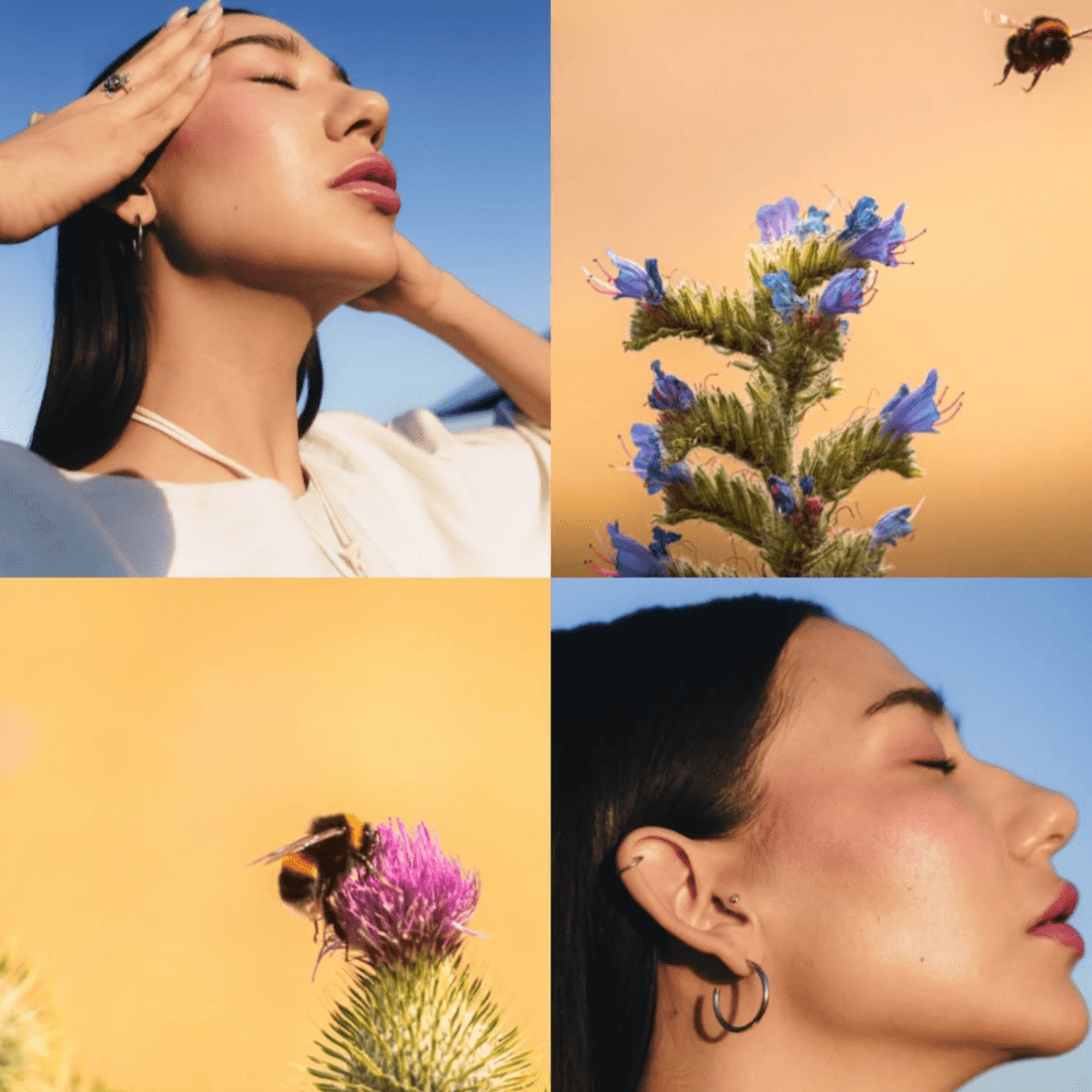 ¿Cómo identificar productos 100% naturales y libres de químicos en tiendas en línea mexicanas? - TEIA Cosméticos