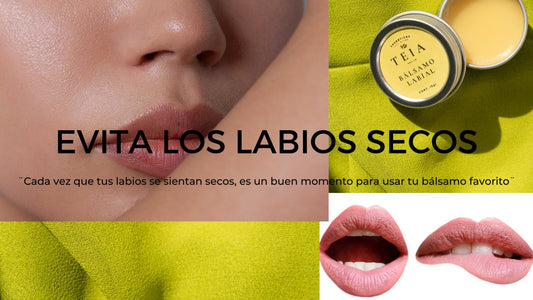 Evita la los labios resecos este invierno. - TEIA