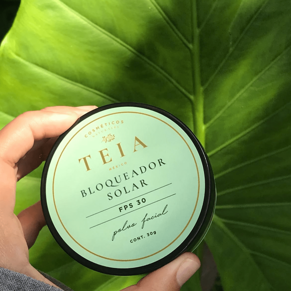 ¿Por qué un cosmético vegano no es necesariamente “clean”? Ingredientes a revisar y cómo identificarlos - TEIA Cosméticos