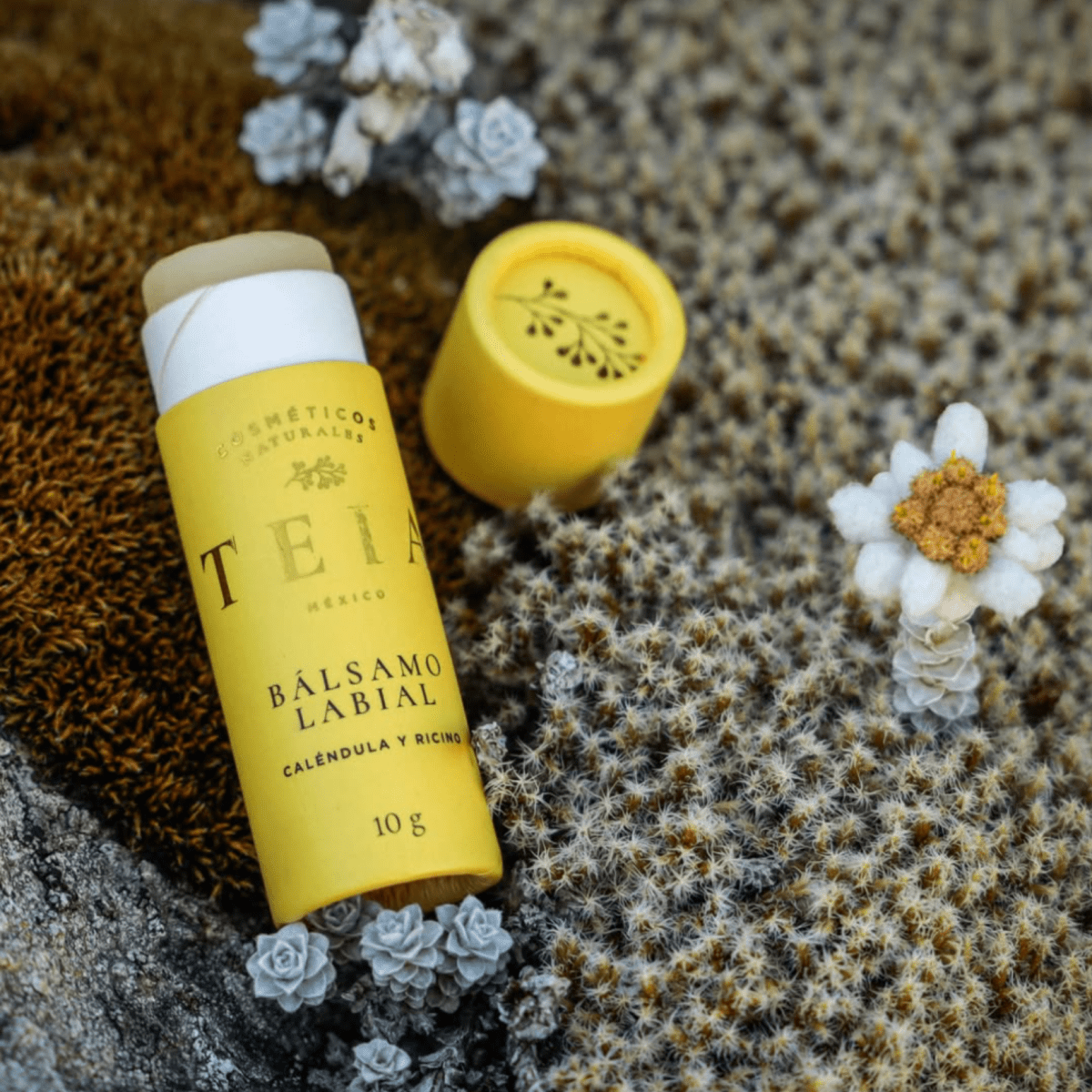 Productos de belleza ecológicos y sostenibles: guía para elegir opciones realmente responsables - TEIA Cosméticos