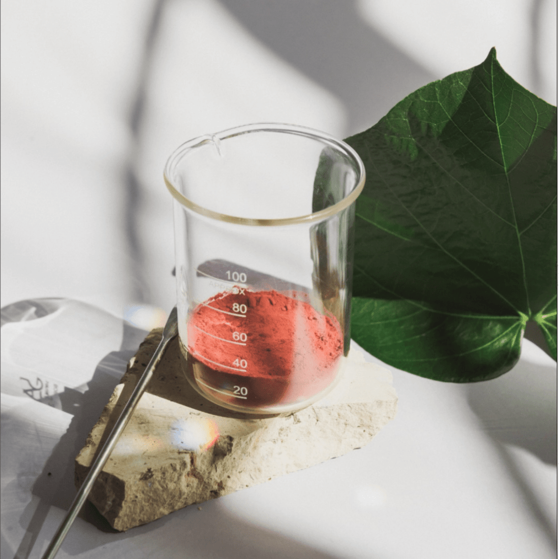 ¿Qué tendencias de productos cosméticos hay en el mercado mexicano y dónde comprarlos al mayoreo? - TEIA Cosméticos